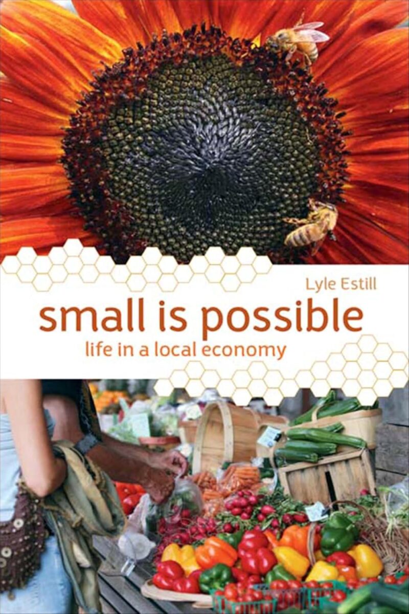 Small Is Possible book